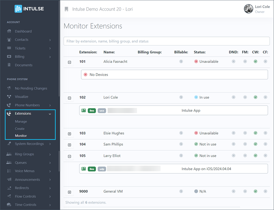 Monitor Extension Details